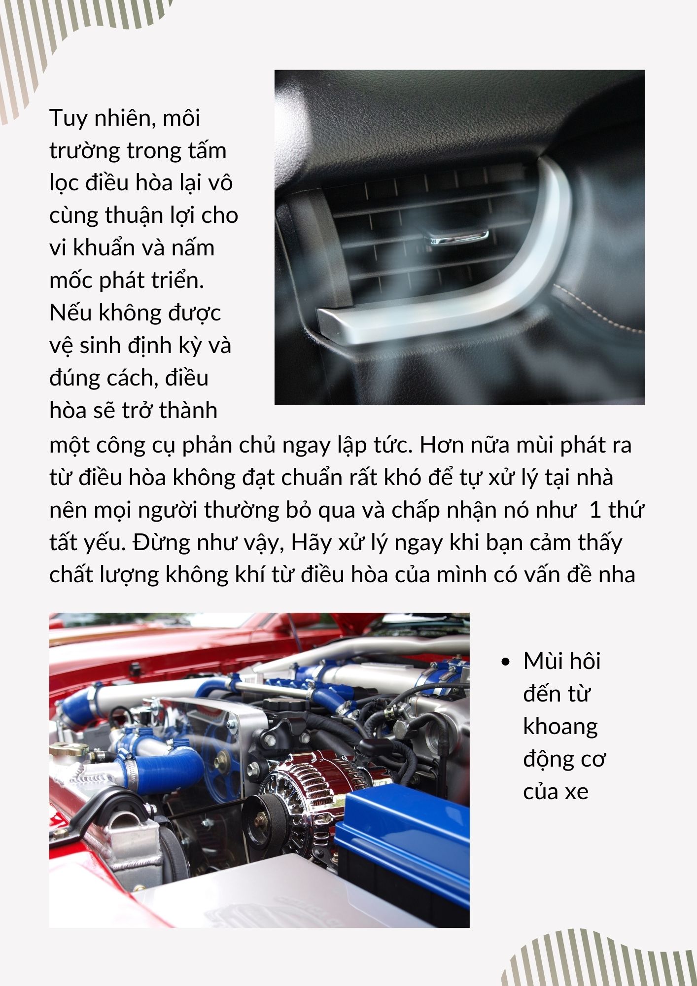Cách khử mùi ô tô hiệu quả