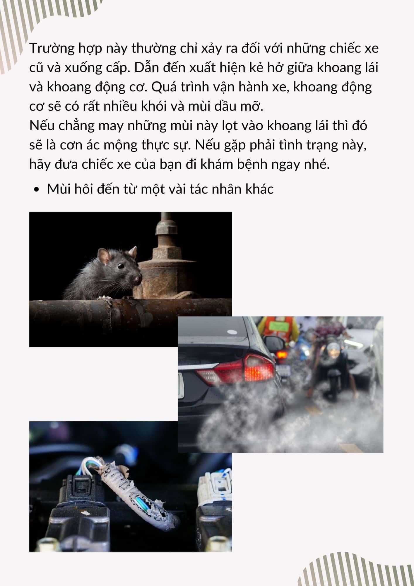 Cách khử mùi ô tô hiệu quả