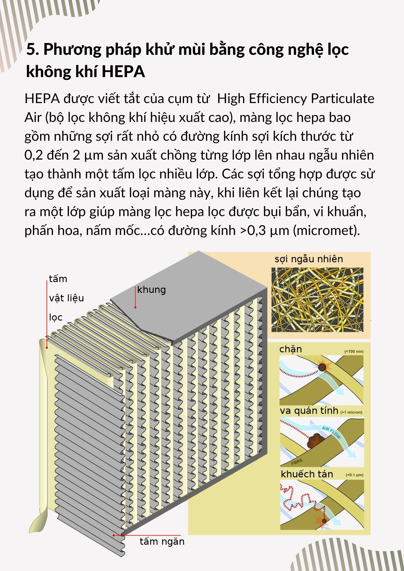 Cách khử mùi ô tô hiệu quả
