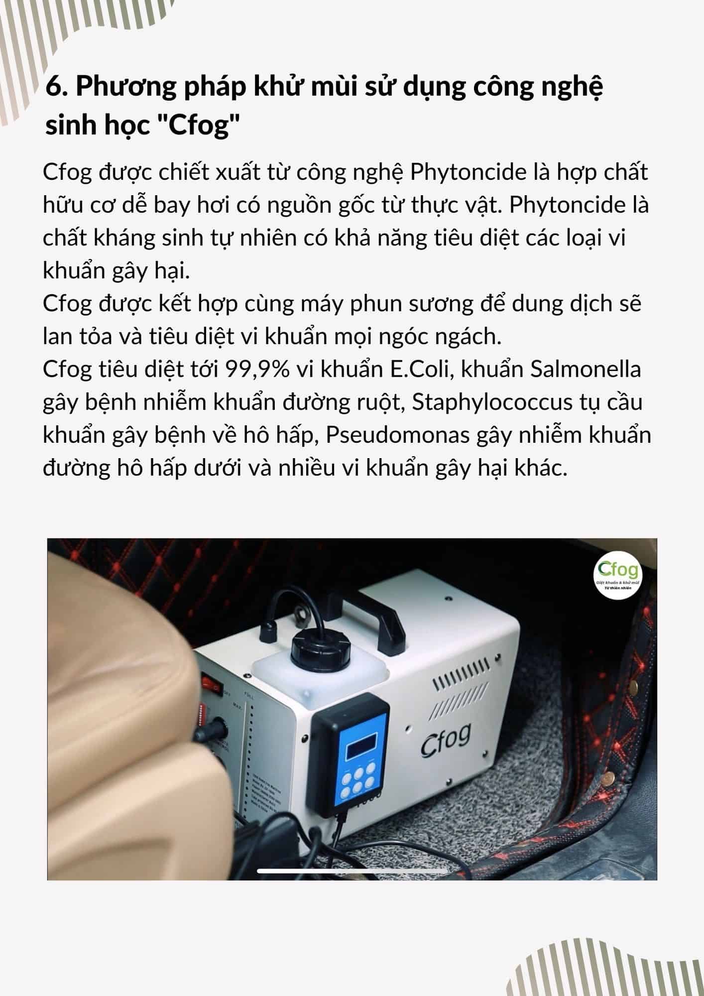 Cách khử mùi ô tô hiệu quả