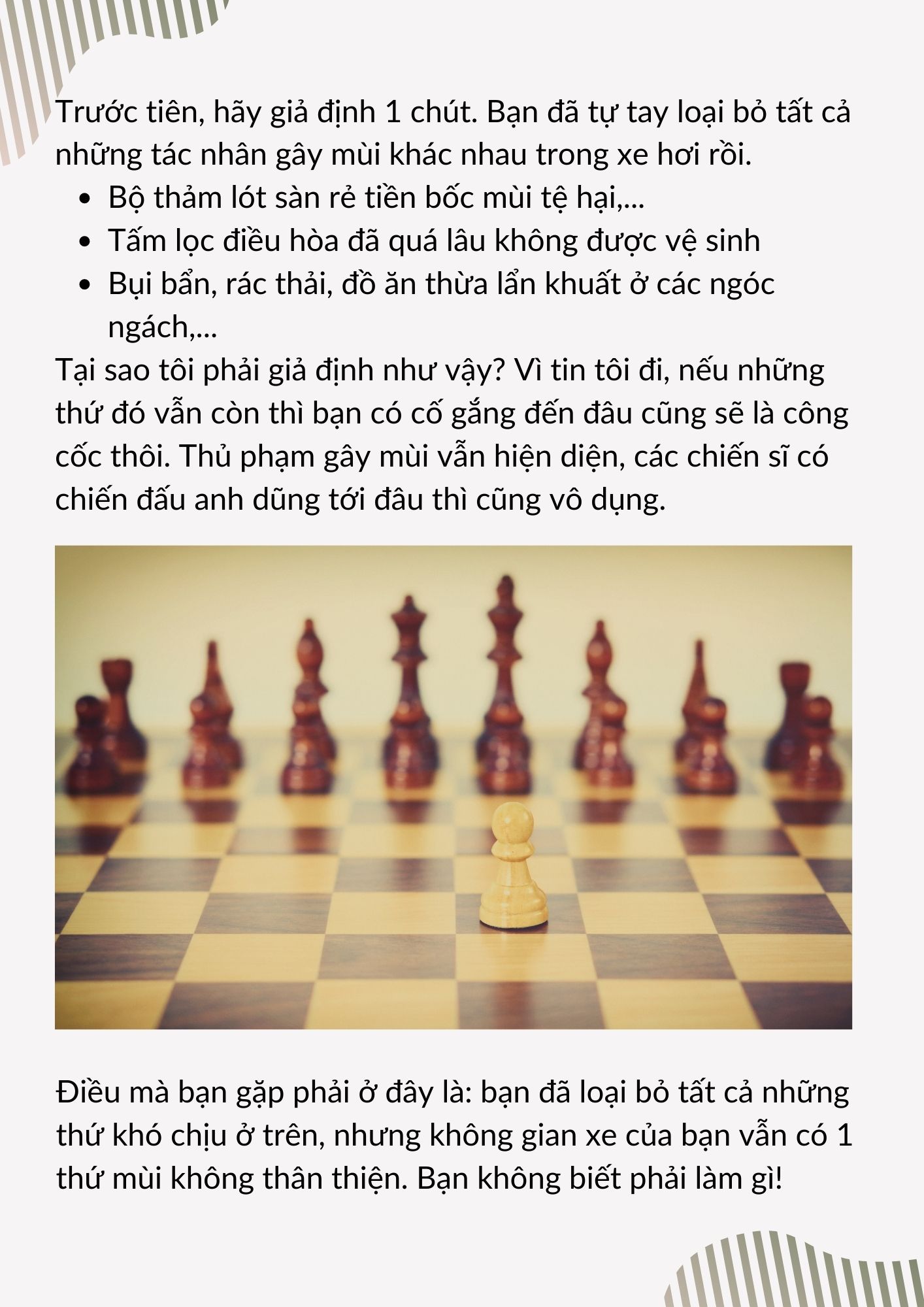 Cách khử mùi ô tô hiệu quả