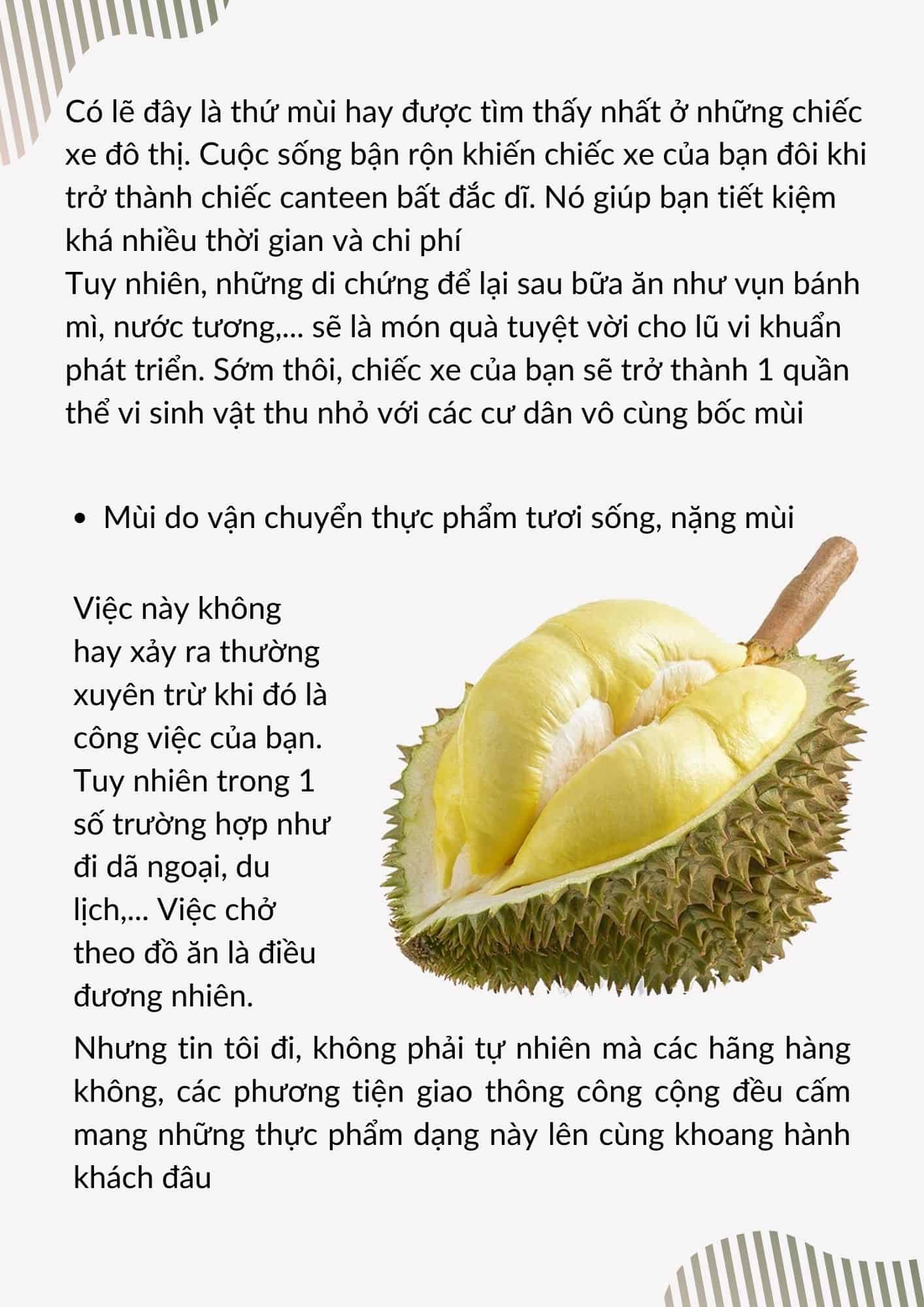 Cách khử mùi ô tô hiệu quả