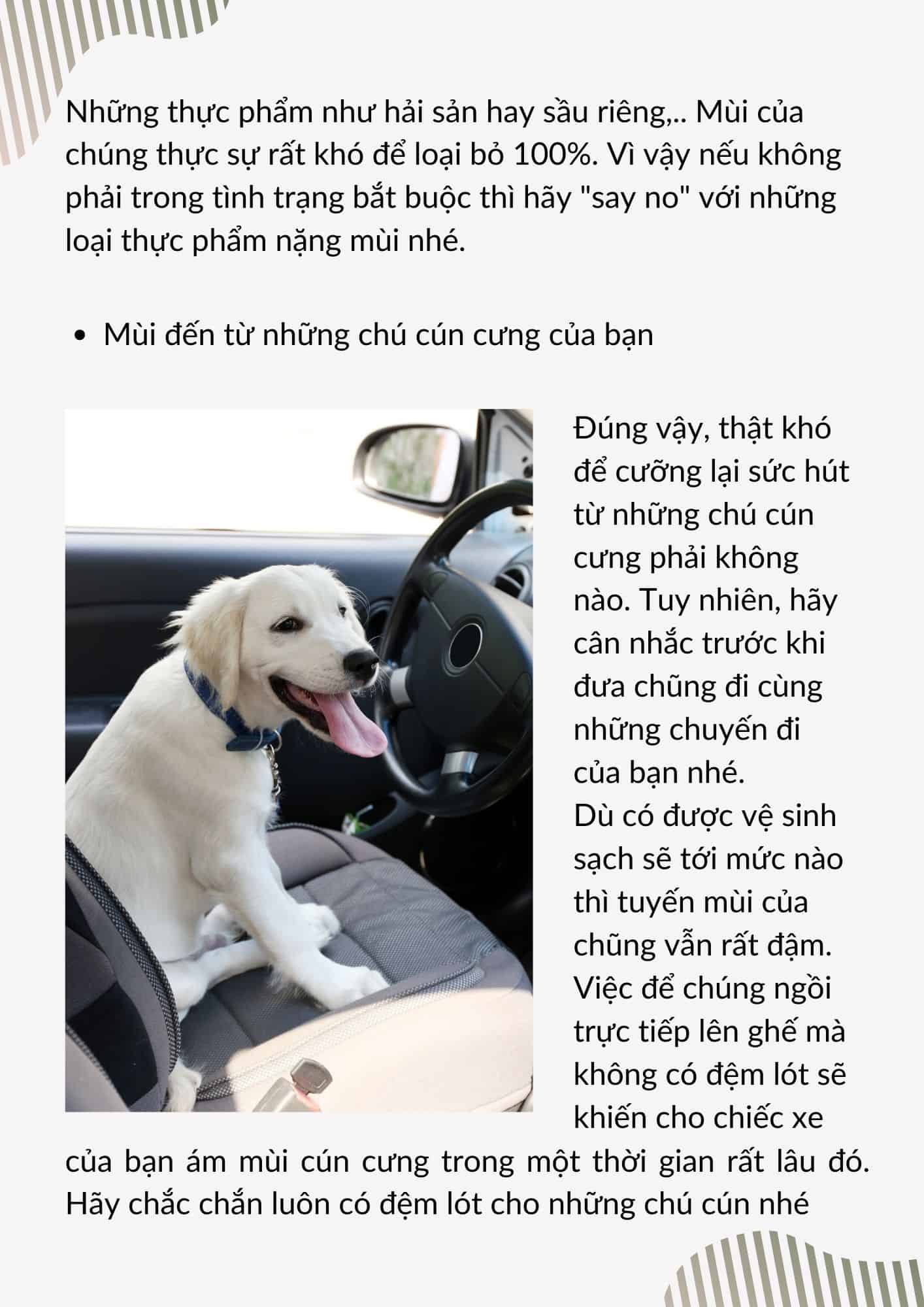 Cách khử mùi ô tô hiệu quả