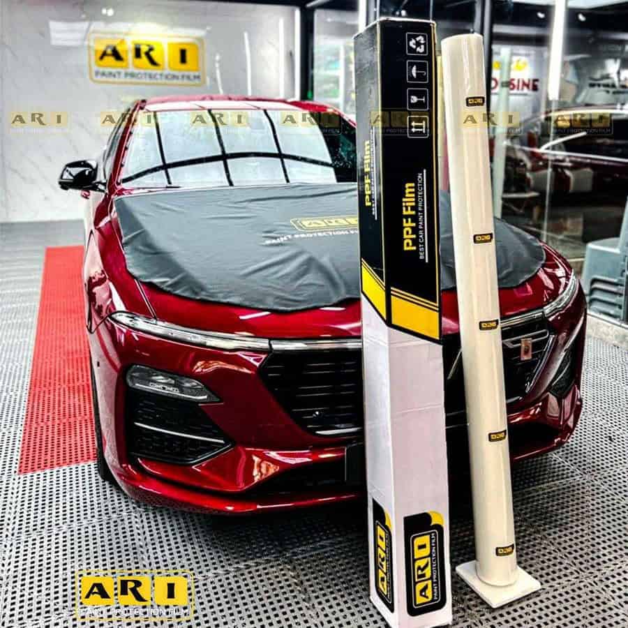 Nội thất dán ppf ari