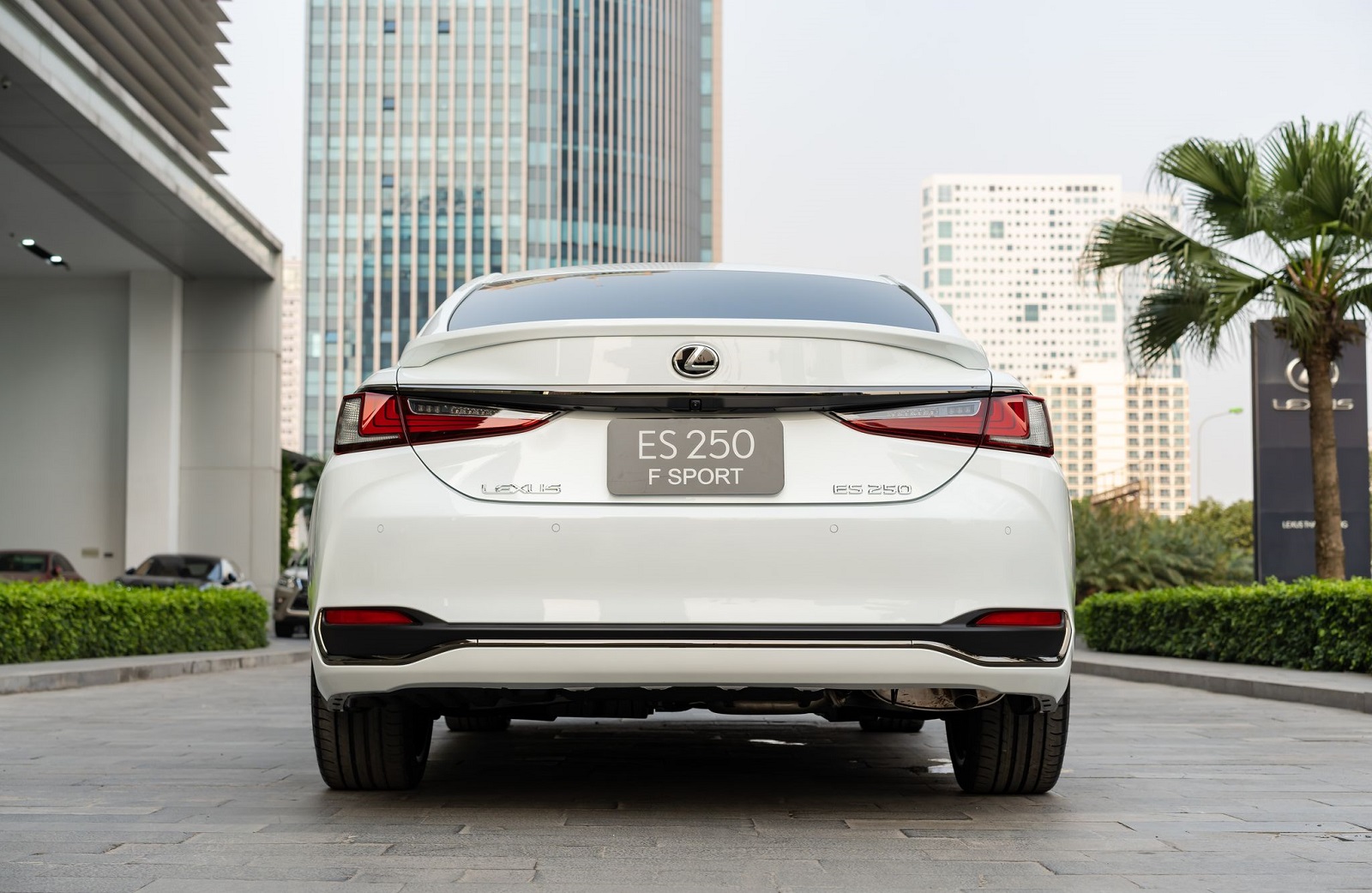Dán ngoại thất xe Lexus ES và phim PPF ARI